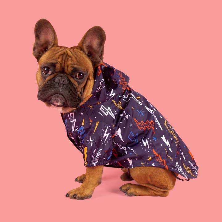 Big and Little Dogs - Wholesale Pet Raincoat - Dog - DOG RAINCOAT: Lightning Storm6