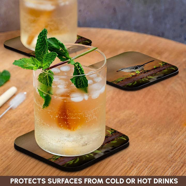 3dRose - Wholesale Coasters - 3dRose, Northern mockingbird, Mimus polyglottos feeding., Coaster9