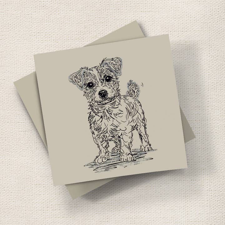 Jack (Krusedulle) for engroshandel hos English Graphics