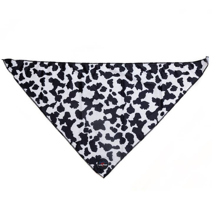Funk The Dog Bandana | Cow Print for wholesale by Long Paws