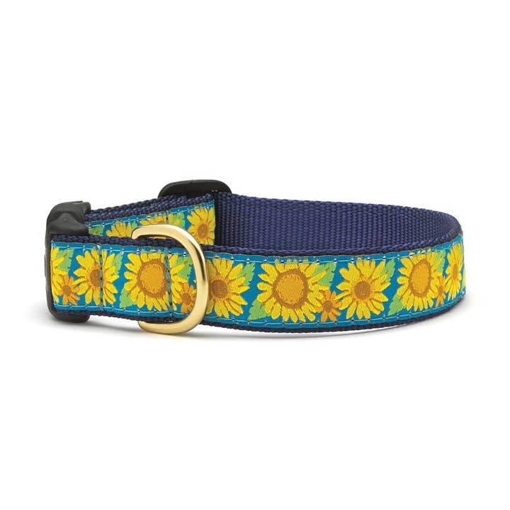 Bright Sunflower Dog Collar for wholesale by Up Country, Inc.