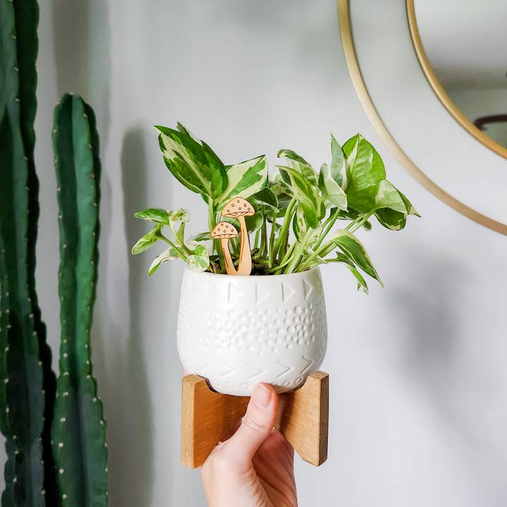 Leaf & Node - Wholesale Garden/Lawn Stake - Mushroom Decorative Houseplant Stake (Wood, 2 Sizes)1