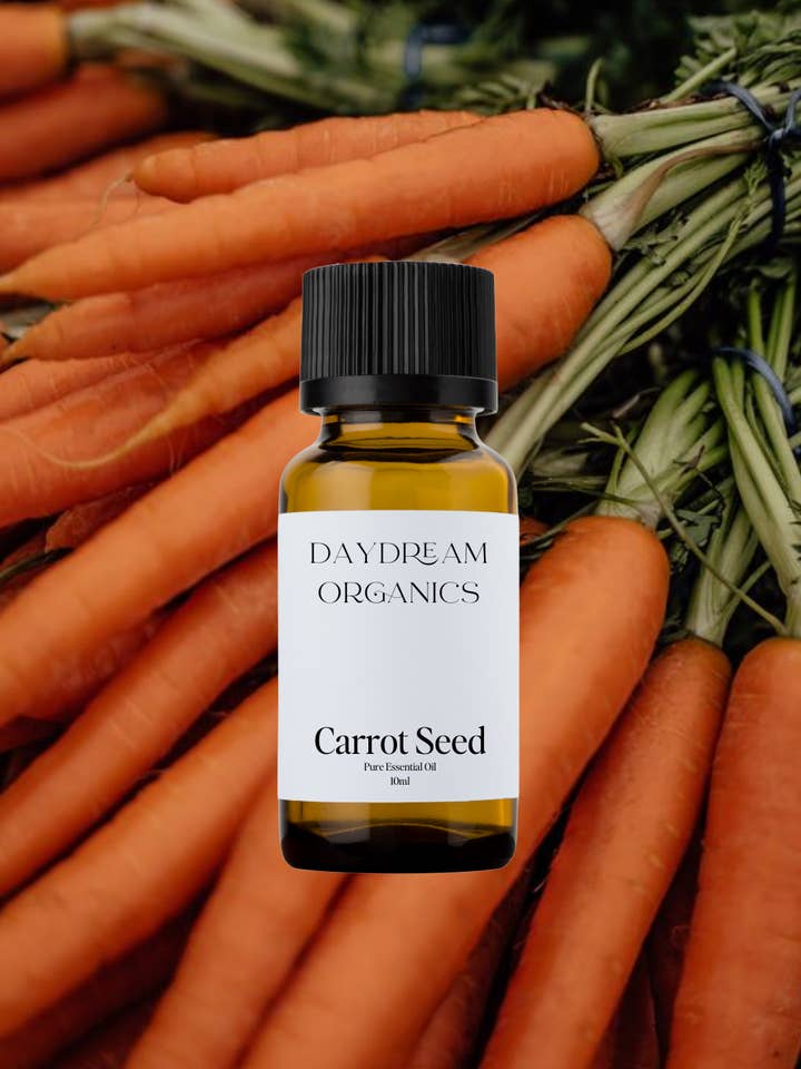 Huile essentielle de graines de carottes pour la vente par Daydream Organics | Prairie Doctor Brand