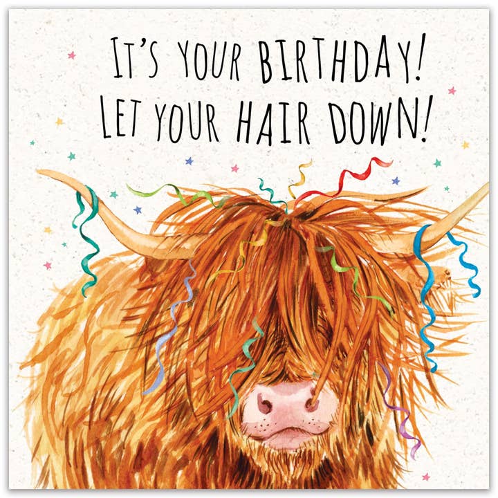Twizler Ltd - Wholesale Birthday Card - Funny Birthday Card Highland Cow Let Your Hair Down