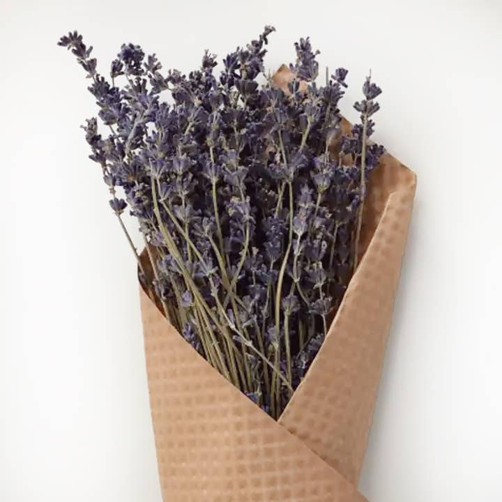 Andaluca - Wholesale Dried/Pressed Flowers - French Lavender Bundle5
