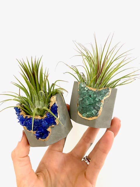 Plant One On Me Designs - Wholesale Plant pot - Geode Planter with Air Plant - Mixed Color - Small Vessel1