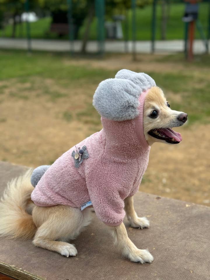 WELSOFT Ear Hoodie – Double-Sided Fleece Sweatshirt. Made wi for wholesale by only-pets