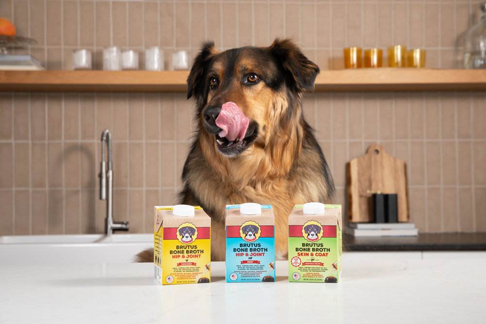 Brutus Broth - Wholesale Pet Food - Dog - Mini Brutus Broth Skin & Coat Vegetarian Bone Broth (16.9oz)1