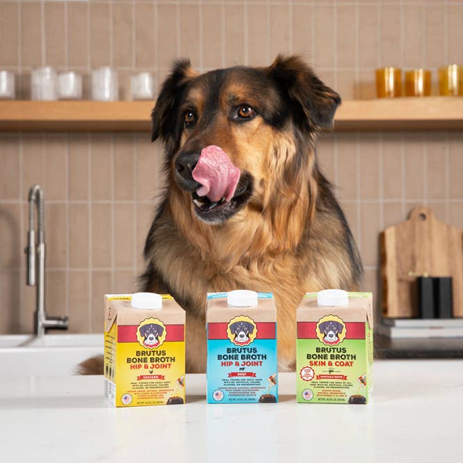 Brutus Broth - Wholesale Pet Food - Dog - Mini Brutus Broth Skin & Coat Vegetarian Bone Broth (16.9oz)1