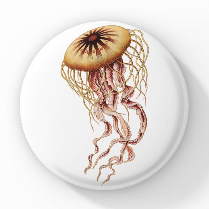 Kwallen speldknop, sleutelhanger met kwallen, kwallenmagneet voor wholesale door NatureCuts