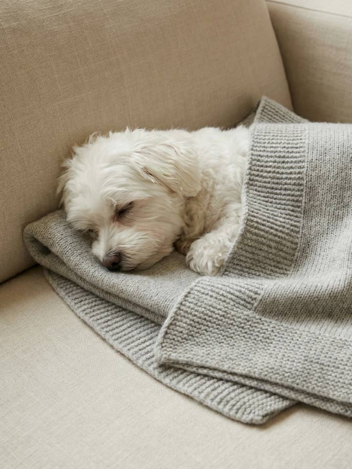 Plaid en cachemire gris pour chien pour la vente par bobbin & tricot