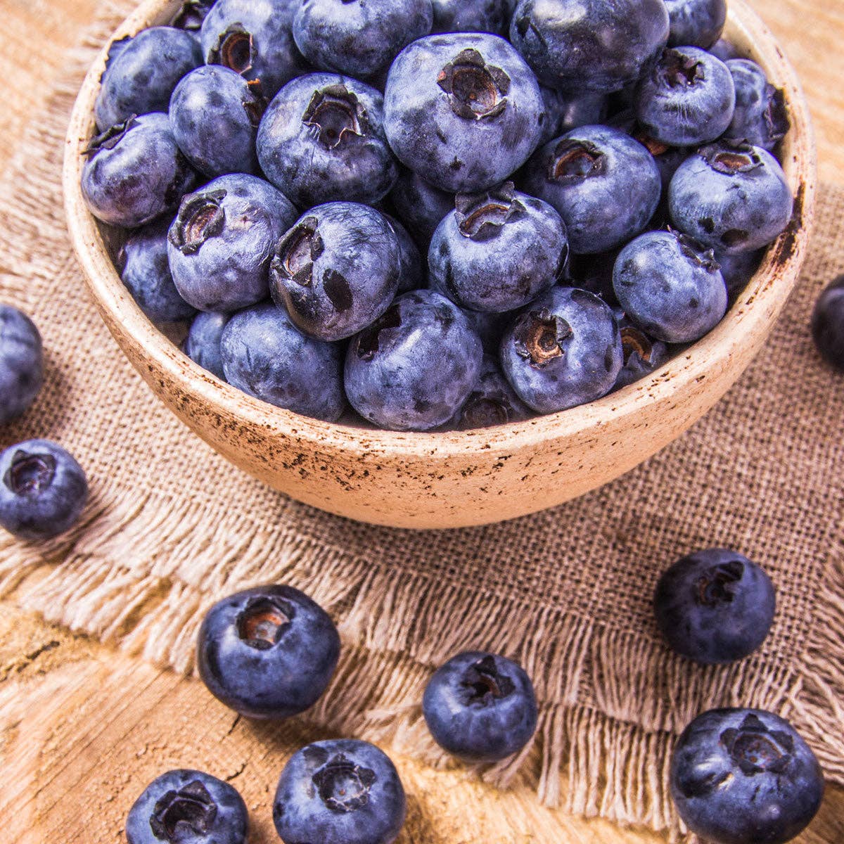 Wild West Chocolate - Wholesale Chocolate Covered Sweets - Huckleberry & Cashew Bear Claws Master Case3