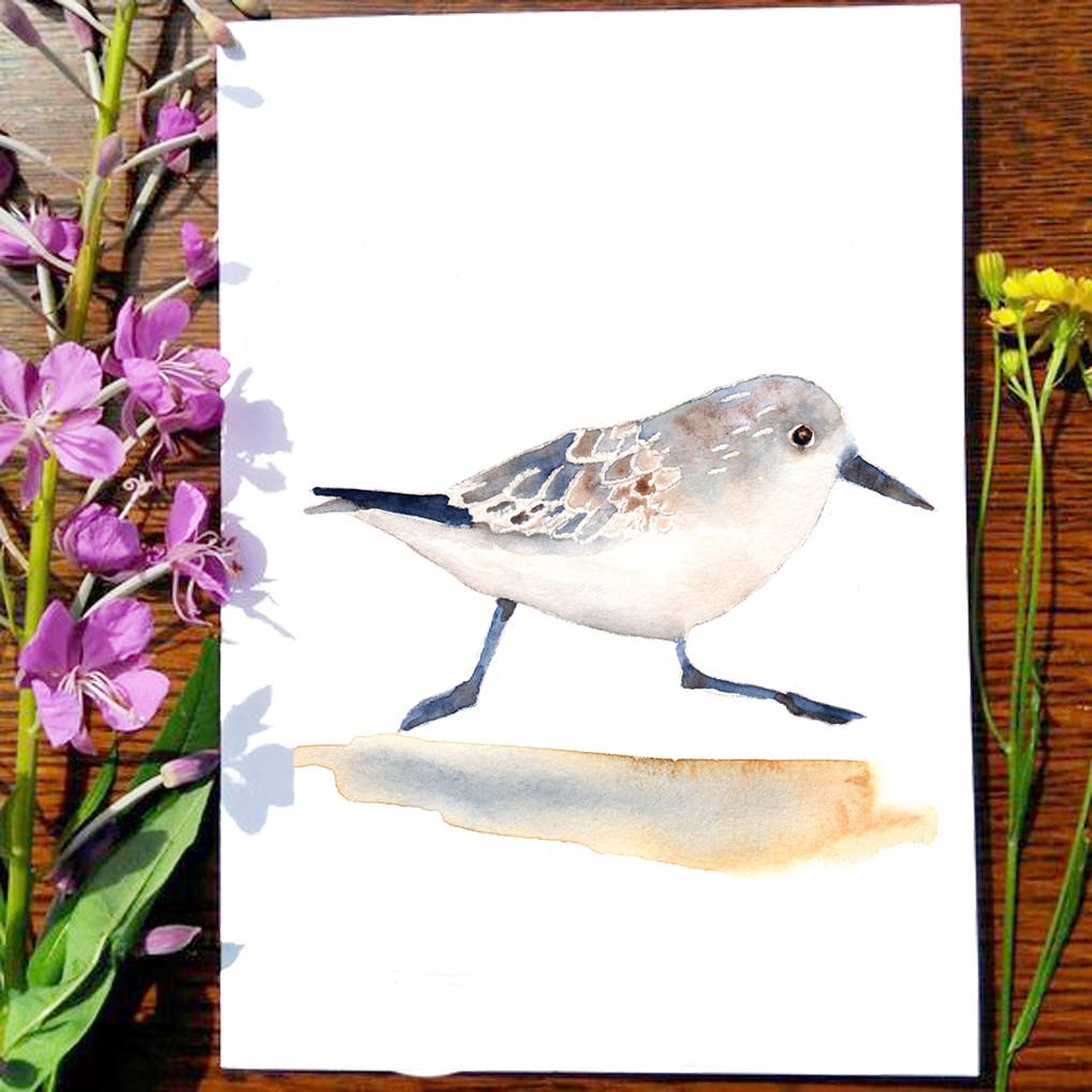 Dancing Raven Designs - Wholesale Everyday Greeting Card - 1199. Sand Piper Card0