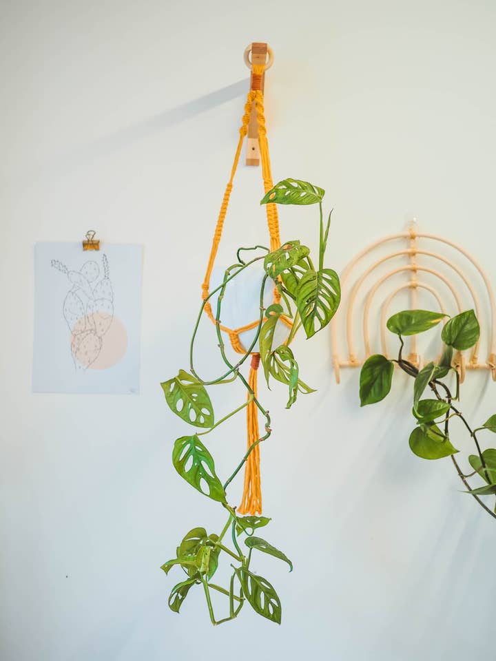 Macrame Hængende Planter for engroshandel hos Studio Dawn