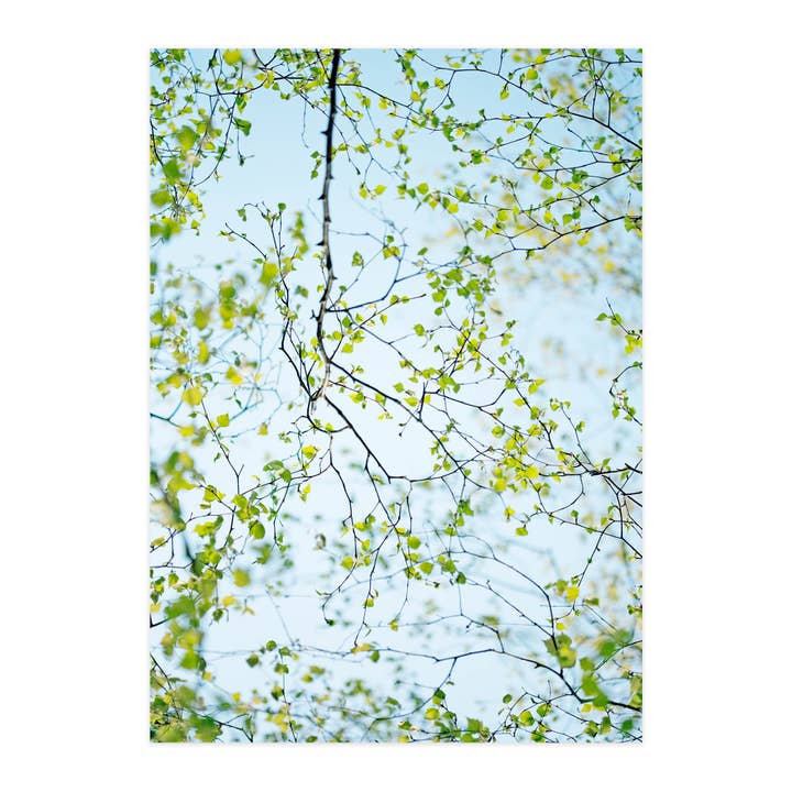 Ansichtkaart "Berk" voor wholesale door paruspaper. nutzfeine papeterie