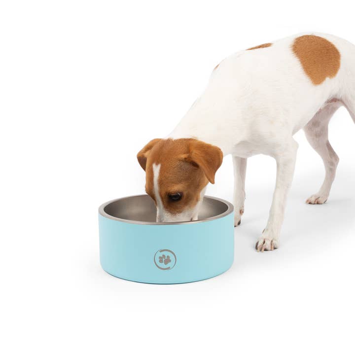 Large Stainless Steel Dog Muncher Bowl for wholesale by Dollar Paw