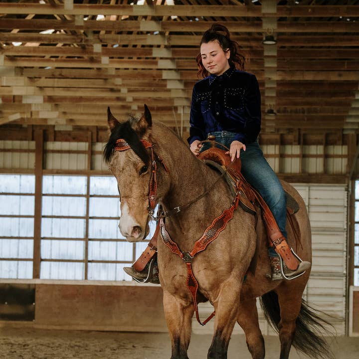 Schulz Equine - Wholesale Horseback Riding Gear - Wyatt Earp Headstall and Breast Collar Set