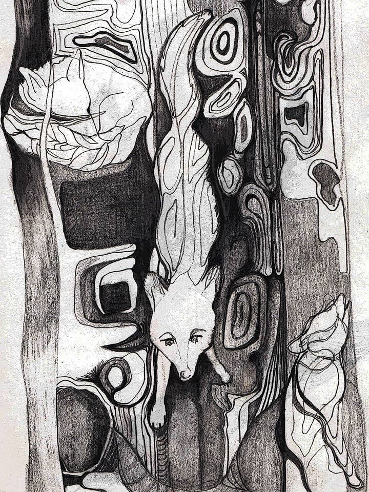 Sara Anderson – wholesale Morgonrock - Dam – Foxy Lady Lyx Badrock2