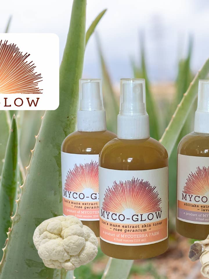 Tonique pour la peau à l'extrait de crinière de lion pour la vente par Mycoterra Farm