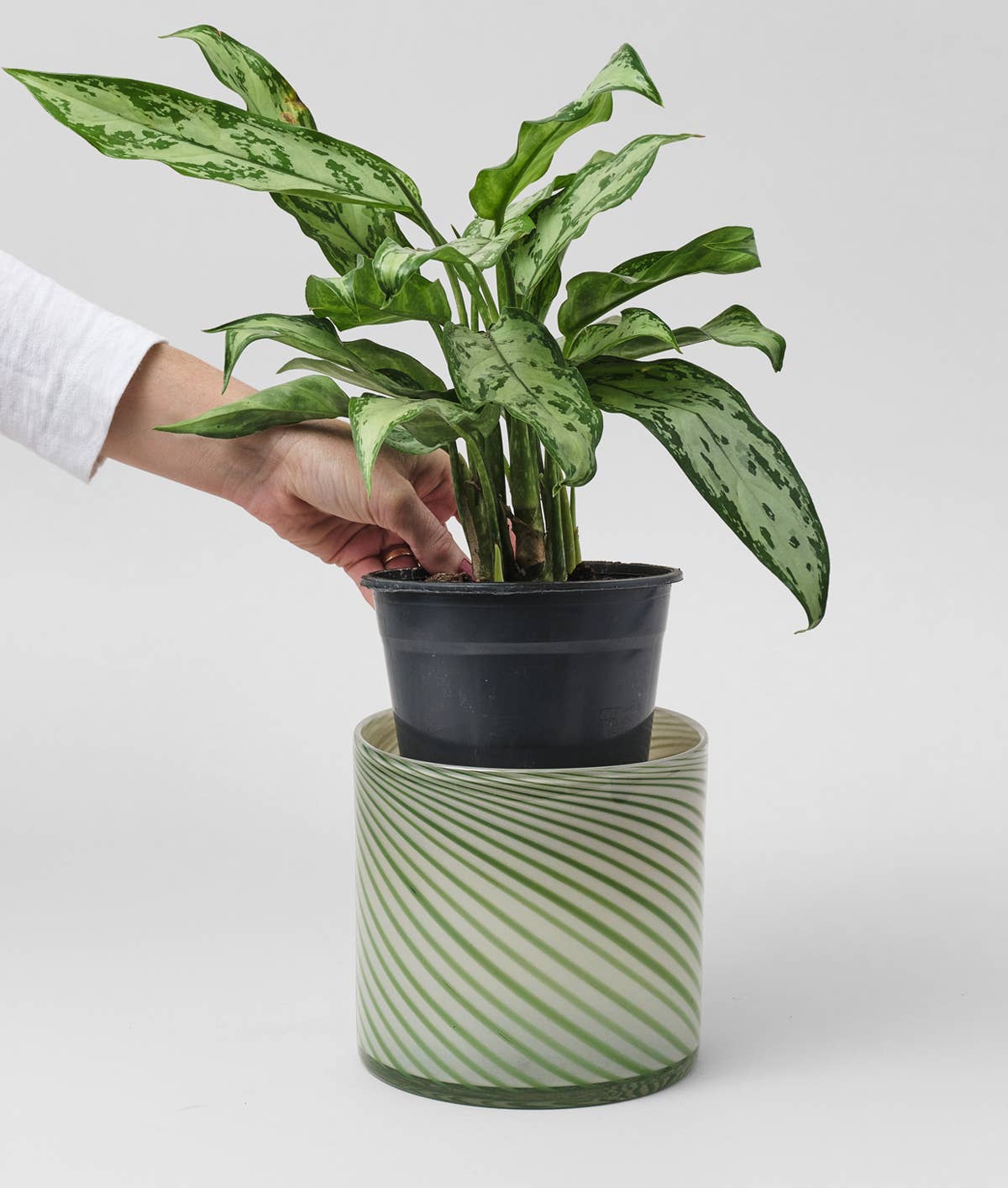 Wrap (US duties paid) - Wholesale Plant Pot - Large Spiral Glass Planter - Green3