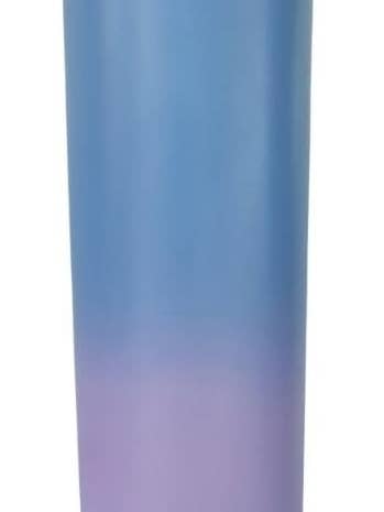 Insulated Stainless Steel Tumbler with Lid and Straw, 22oz, Double Wall, Gradient Colors for wholesale by ROFFT USA LLC