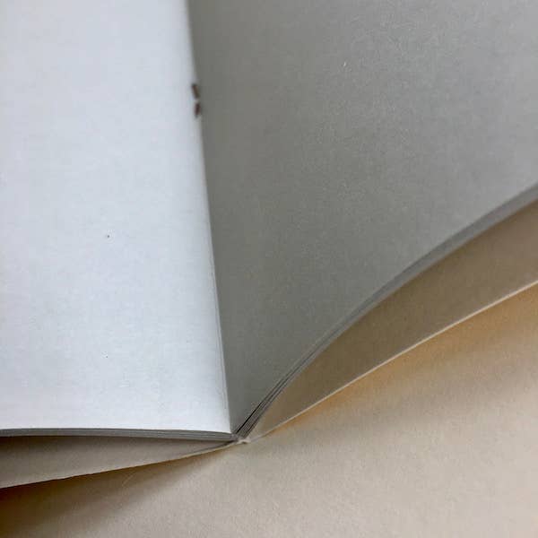 Cambridge Imprint - Wholesale Scrapbook - Patterned Scrapbook in Ditchling Leaf3