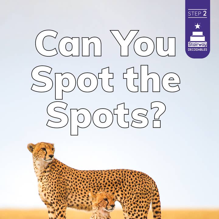 Capstone - Wholesale Early Reader Book (6-8) - Can You Spot the Spots?0