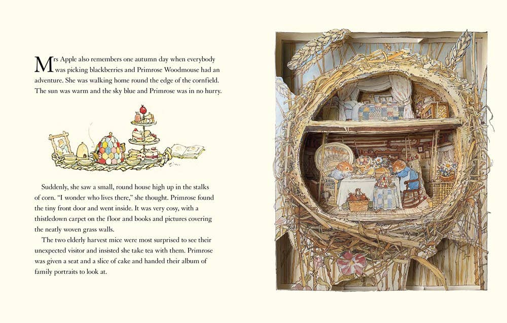 HarperCollins - Wholesale Preschool Book (3-5) - Brambly Hedge Pop-Up Book, The: Jill Barklem2