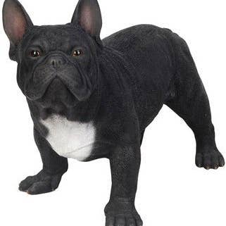 Hi-Line Gift Ltd. – wholesale Dekorativ statyett – Fransk bulldog-staty0
