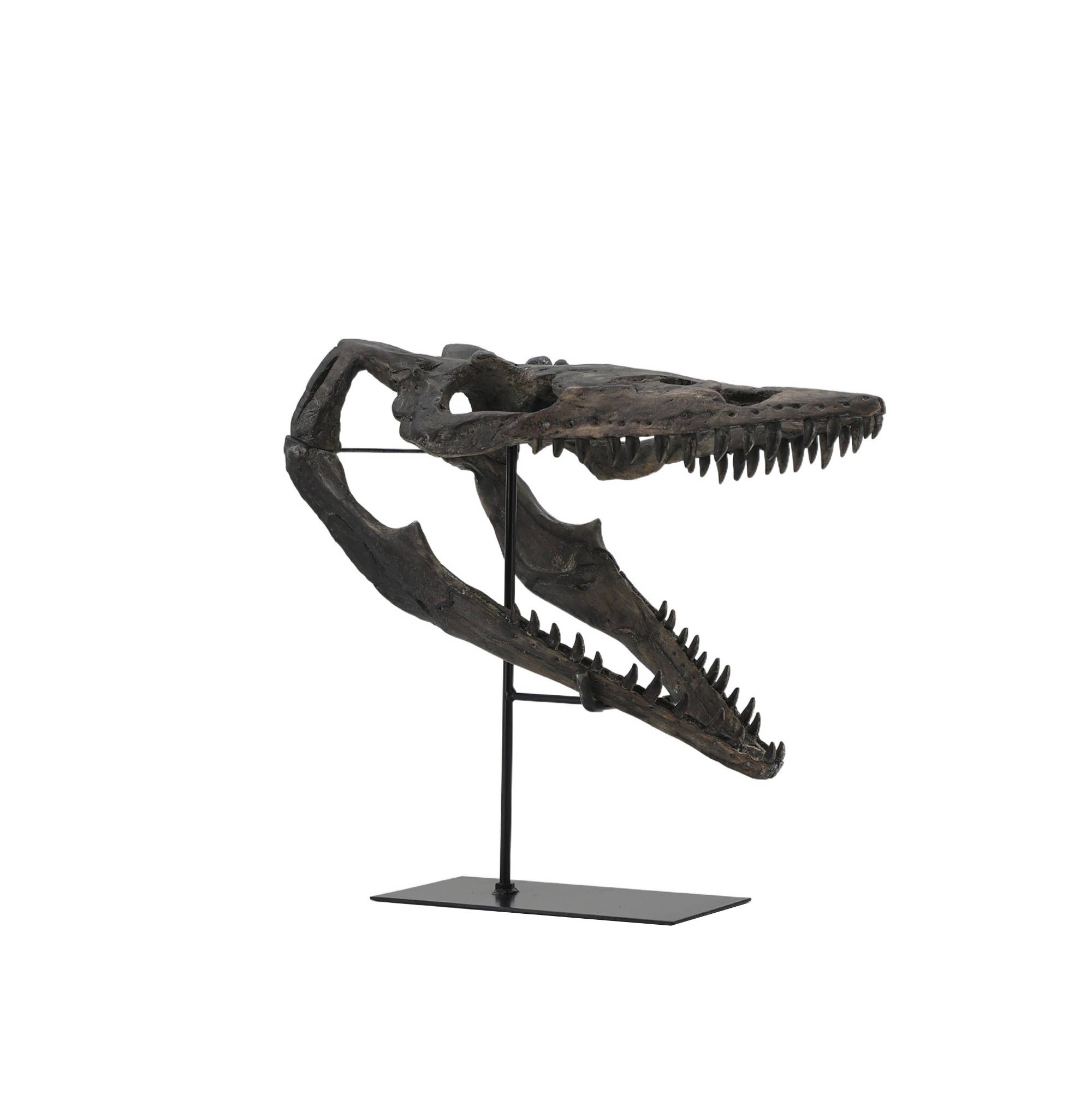 Modern World by Contrast Inc. - Wholesale Decorative Tabletop Object - Plioplatecarpus Dinosaur Skull2
