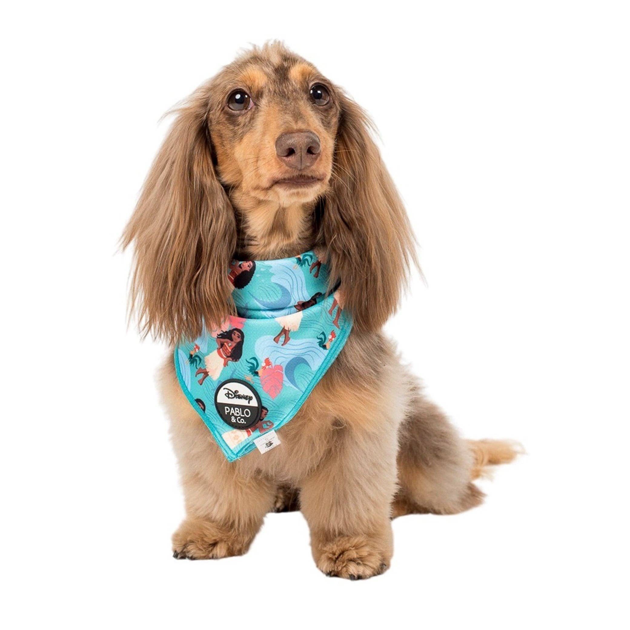 Pablo & Co. Boutique - Wholesale Pet Bandana - Dog - Moana: Dog Bandana0