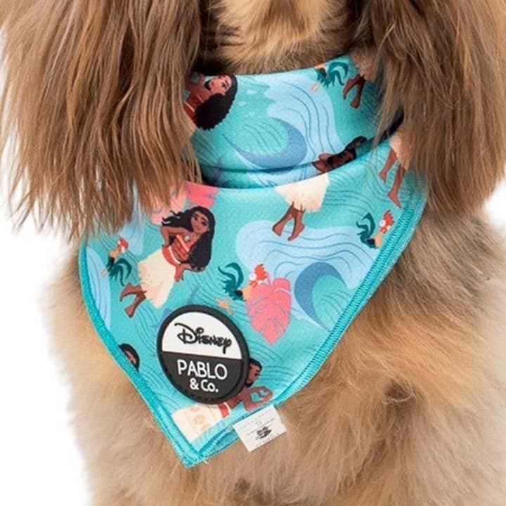 Pablo & Co. Boutique - Wholesale Pet Bandana - Dog - Moana: Dog Bandana0