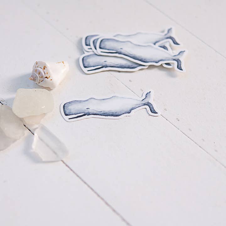 Finding Silver Pennies - Wholesale Sticker - Whale Sticker