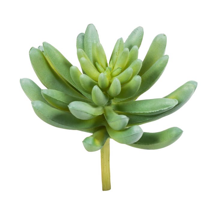 Green Gray Red Pink Vickerman 4" Green/Gray/Pink/Red Succulnt Asst 4 Pack for wholesale on Faire0