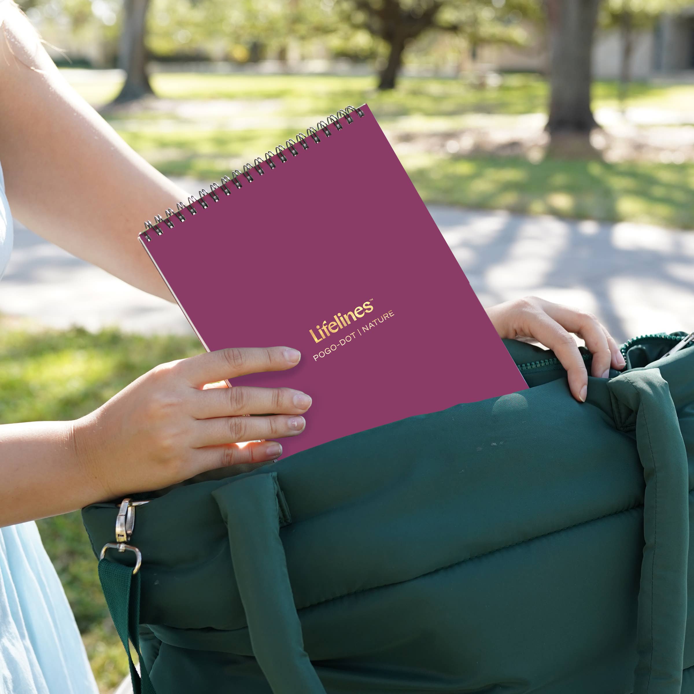 Lifelines - Wholesale Art Set - Kids & Baby - FlowArt Pogo-Dot Nature7