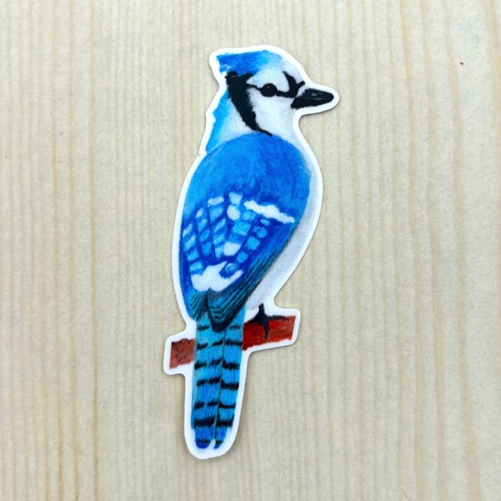 Blue Jay Bird Lover Sticker for wholesale by Yesterday’s Present