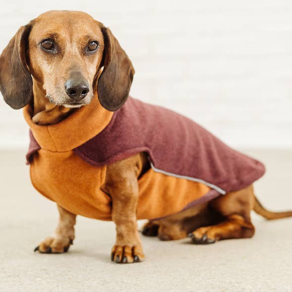 Dachshund fleece sweater Elton for wholesale by Dachshund Couture