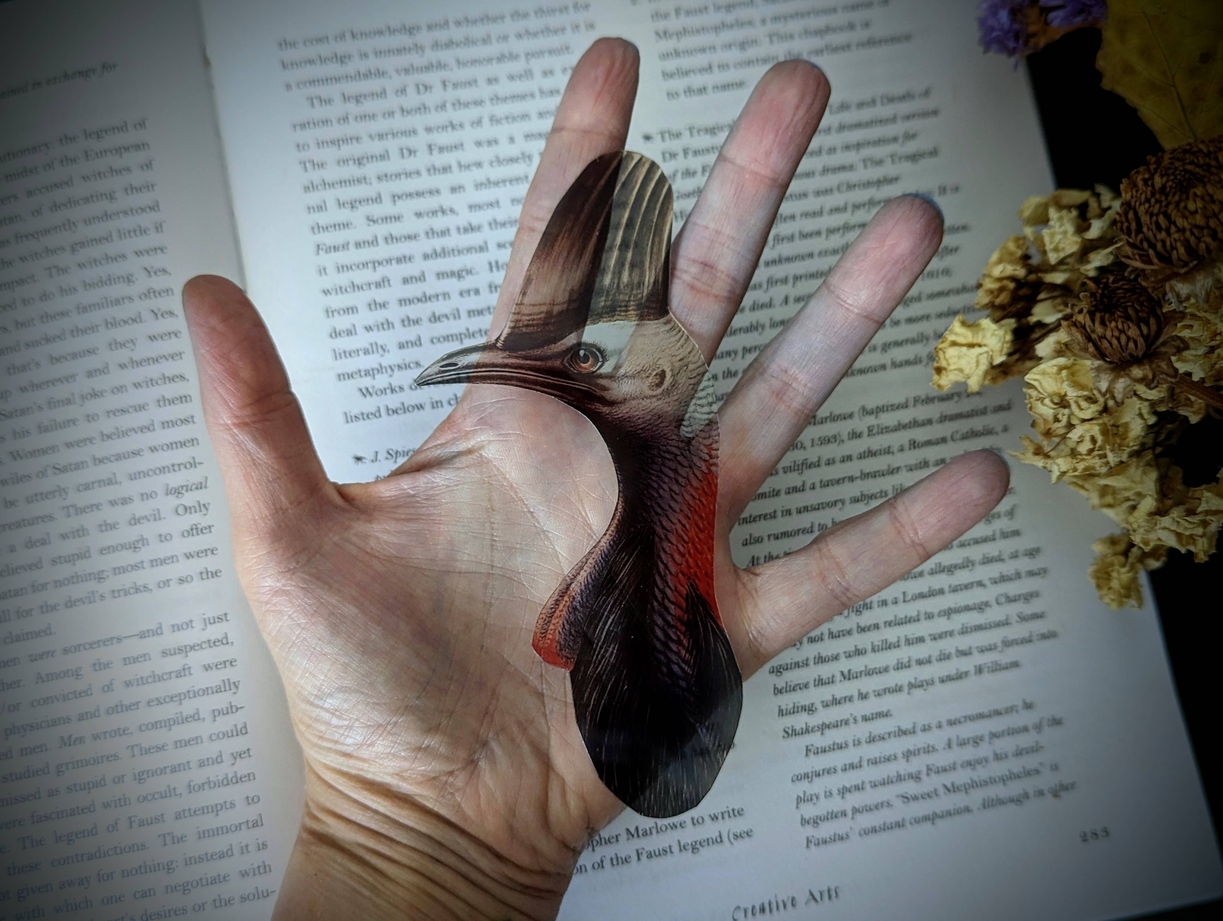 Dark Veinlet - Wholesale Bookmark - Clear Bookmark - Cassowary Flightless Bird Dark Academia2