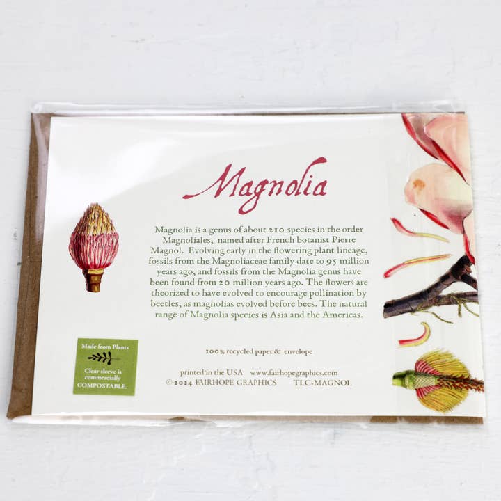Fairhope Graphics - Wholesale Everyday Greeting Card - Magnolia Card2