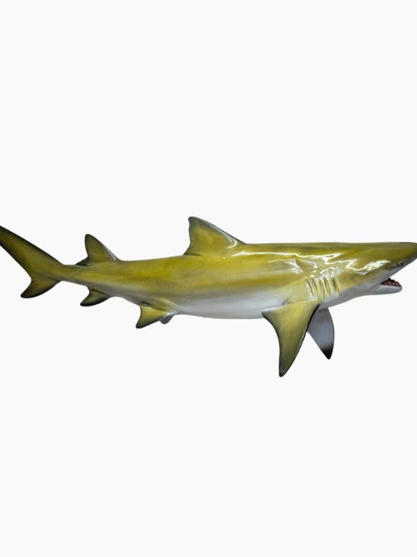 Requin Citron Suspendu 82,67'' (2,1 m) pour la vente par Bluewave Fish Mounts