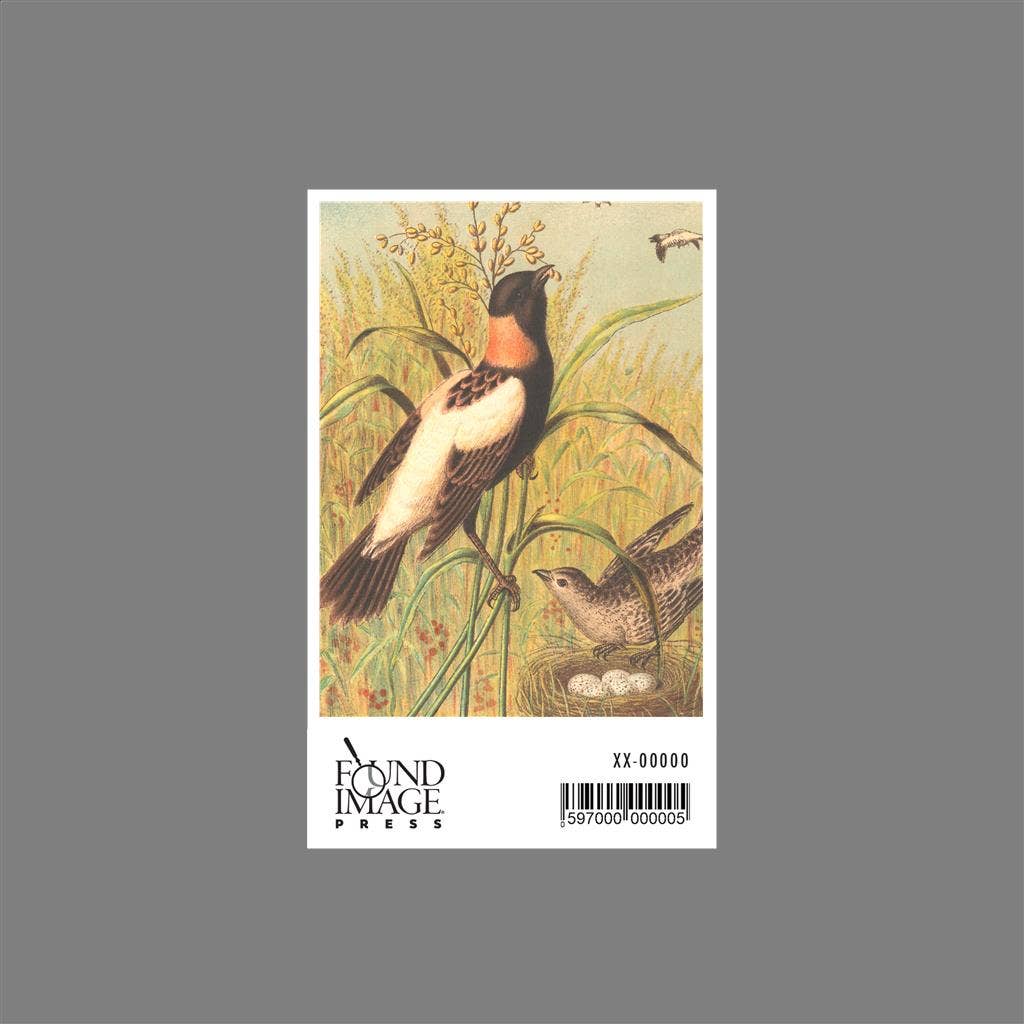 Found Image Press - Wholesale Sticker - Sticker BD-275 Male and Female Longspurs1