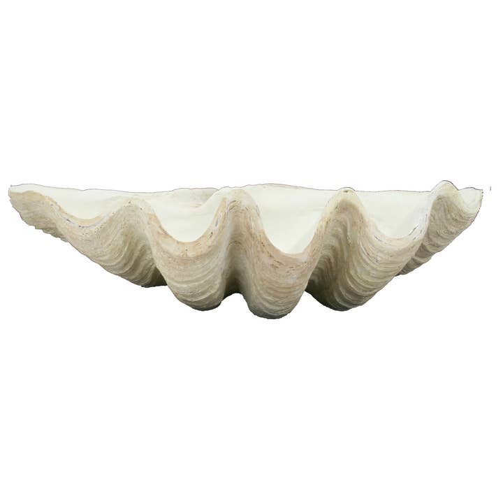 Modern World by Contrast Inc. - Wholesale Decorative Tabletop Object - Fossilized Derasa Clam Bowl