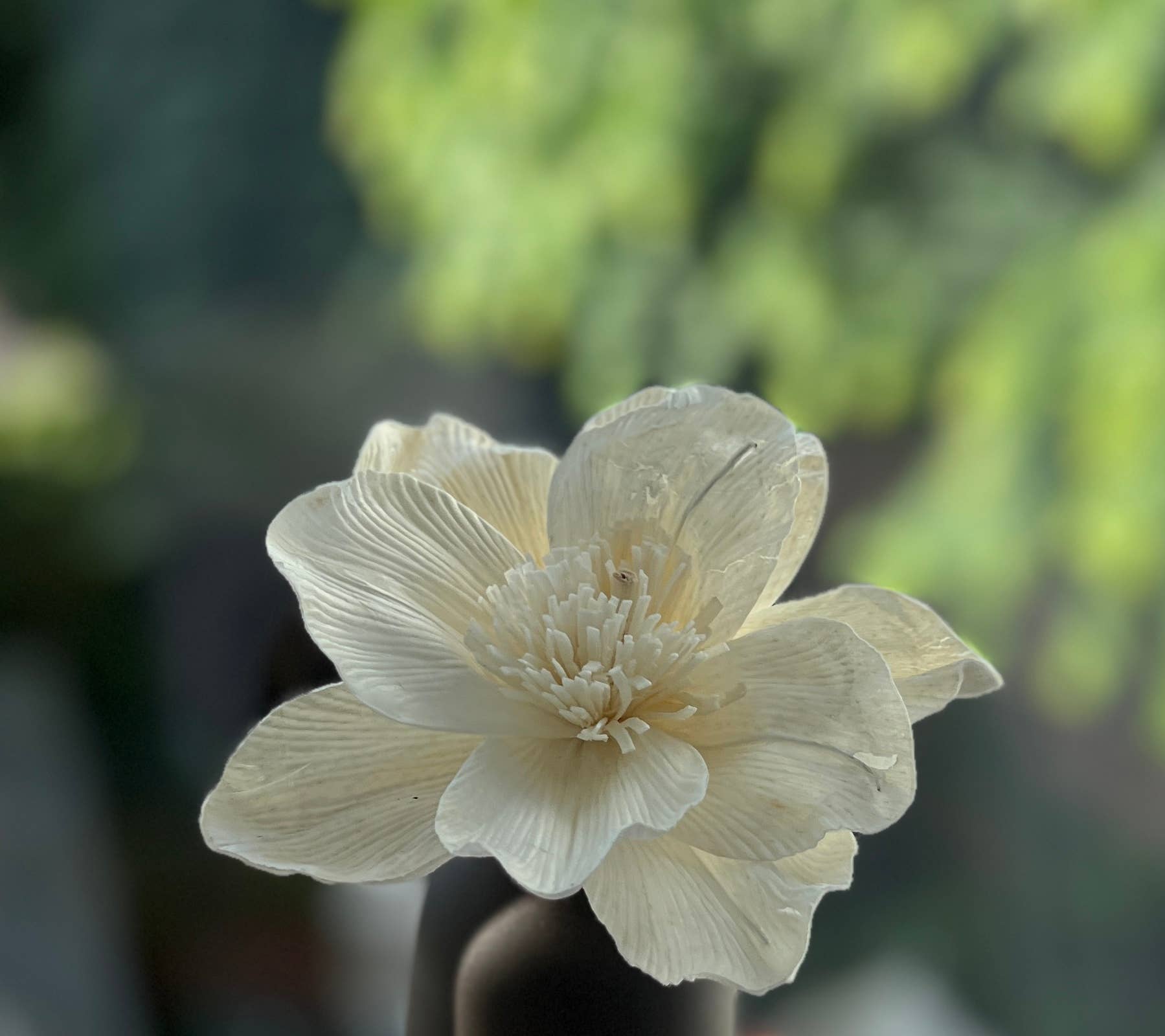 Anoq - Wholesale Reed Diffuser - Fragrance diffuser vase. Mana-cafe home perfumer7