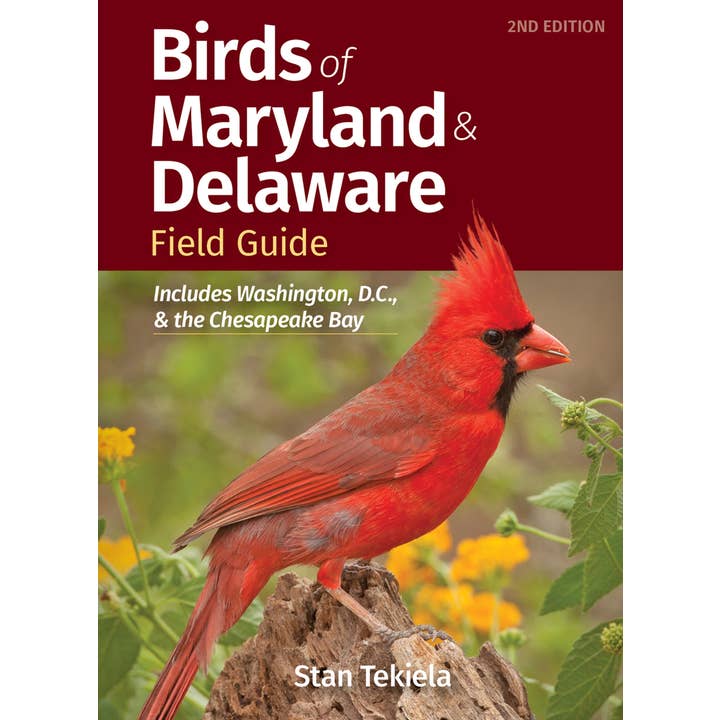 Birds of Maryland & Delaware Field Guide 2e for wholesale by AdventureKEEN