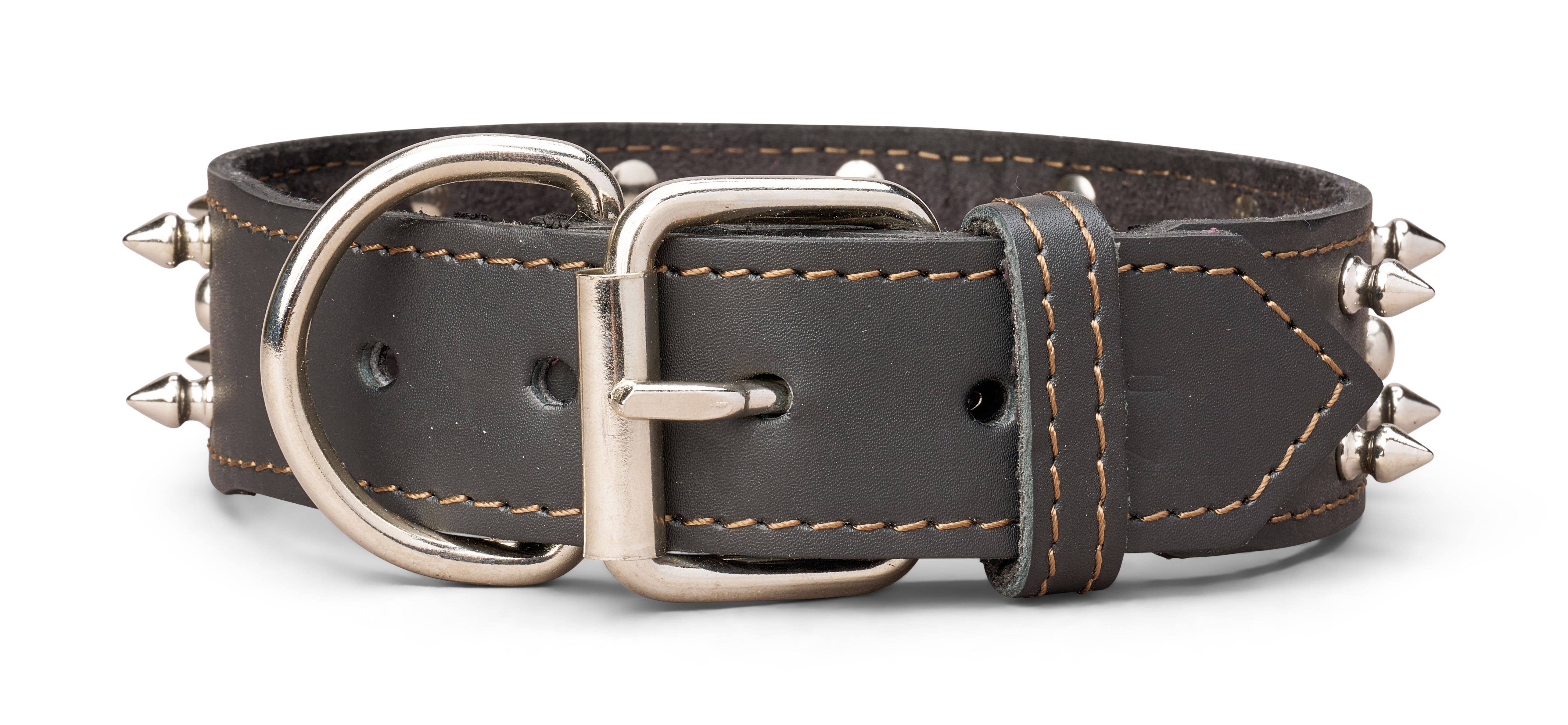 TOP DOG BRAND INC - Vente Collier – chien - Colliers en cuir à pointes de 1 3/4 pouce de large1