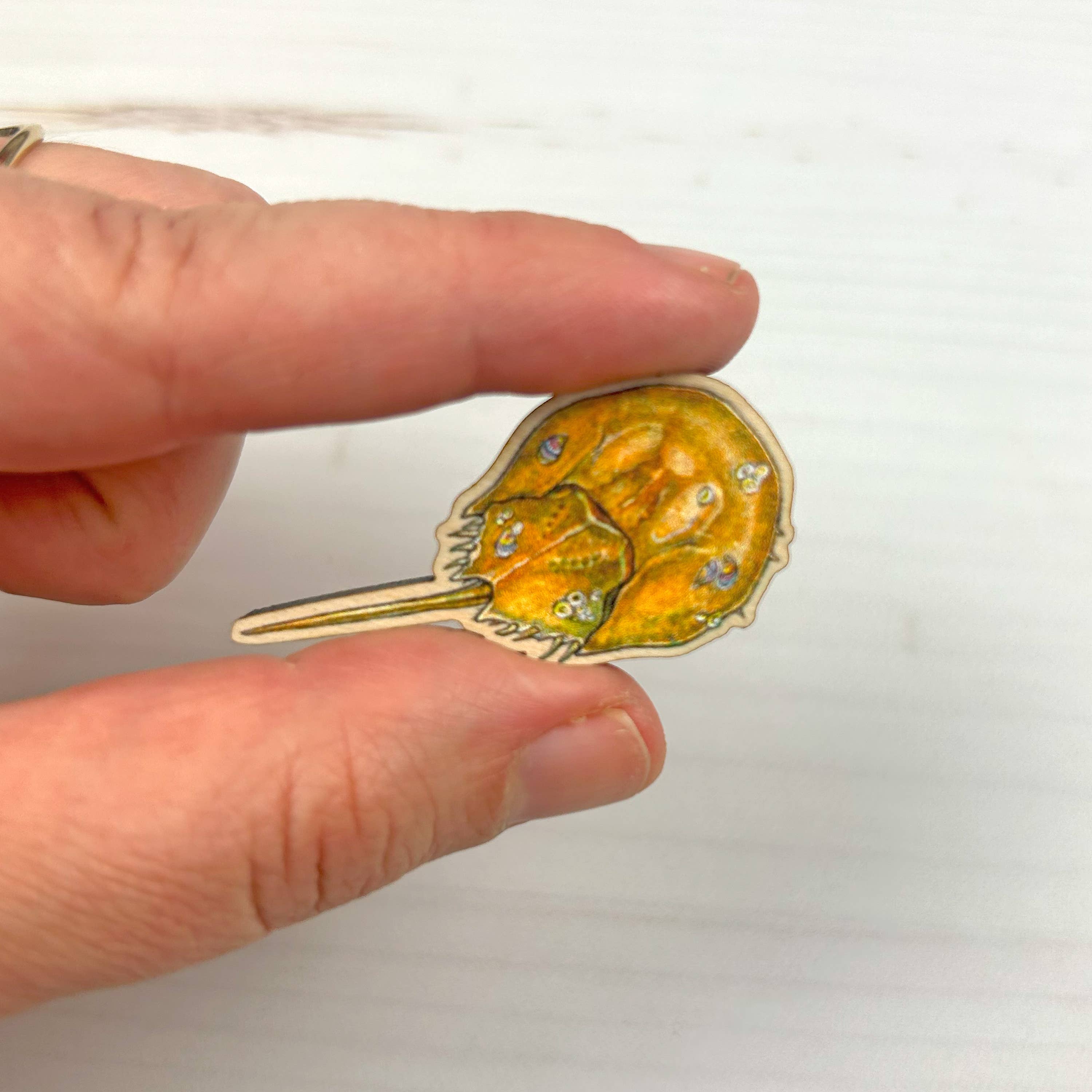 Sarah Draws Things - Wholesale Lapel Pin/Button - Horseshoe Crab - 1.5" illustrated wooden pin1
