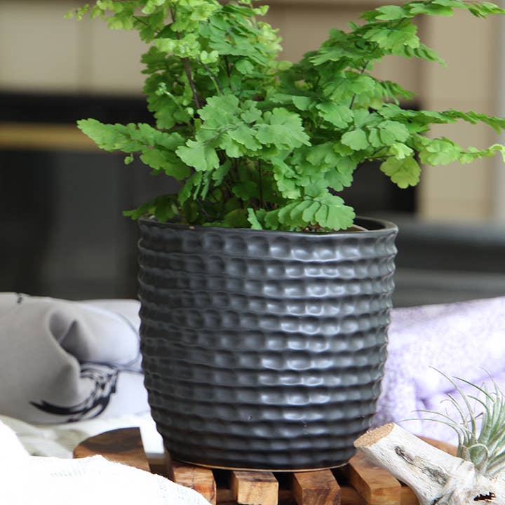 Honeycomb Planter, Space-Grey, 6.5"X5.5" for wholesale by Pacific Home & Garden