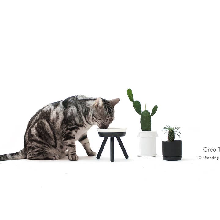 Pets So Good - Wholesale Pet Elevated Bowl - Cat/Dog - Oreo Elevated Pet Feeder Table . Black & White . Tall3