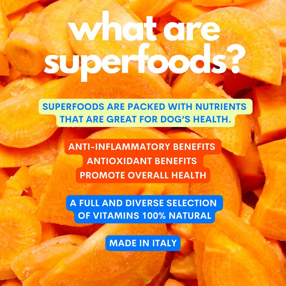 JAMPY – wholesale Pet supplement – Cat/dog – Superfood Green Mix - 100% Natural Vitamin Powder for Dogs3