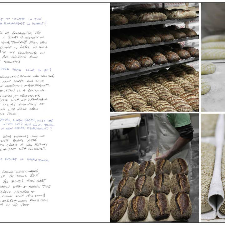 TOOTHACHE MAGAZINE - Wholesale Magazine - Toothache Issue 035